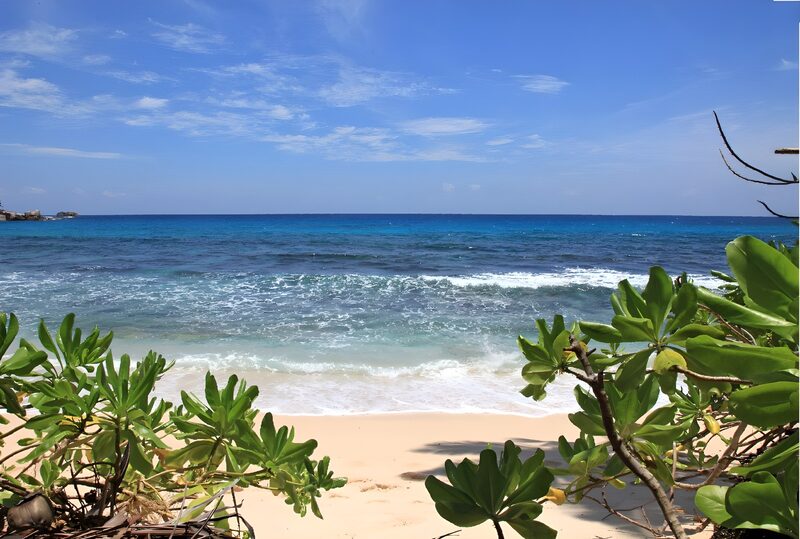 Serene Tropical Beach View