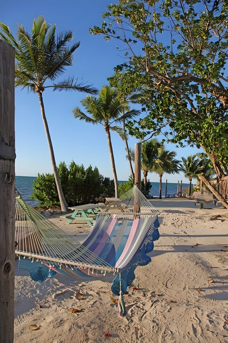 Tranquil Beachside Hammock Escape