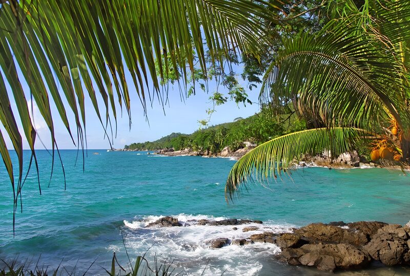 Serene Tropical Seaside View