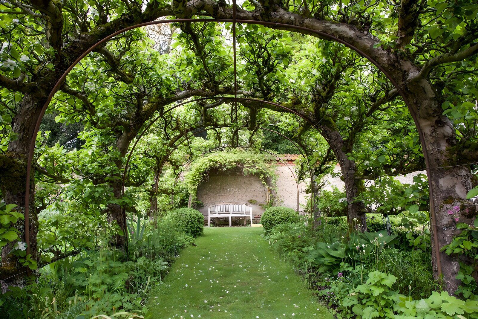 Tranquil Greenery Archway