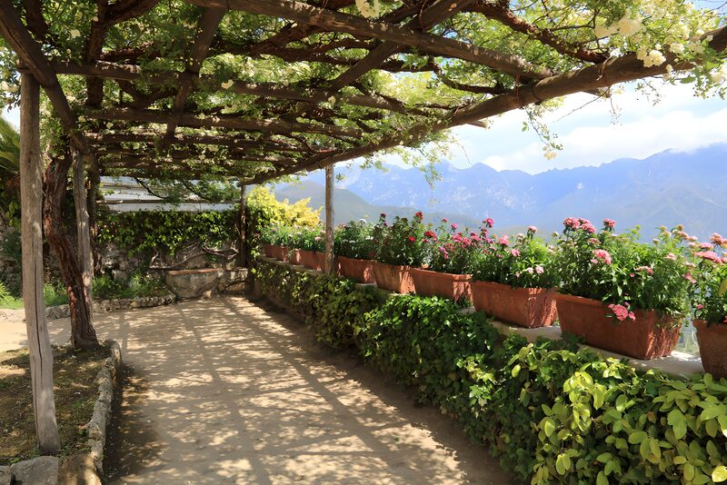 Serene Garden Pathway in Bloom