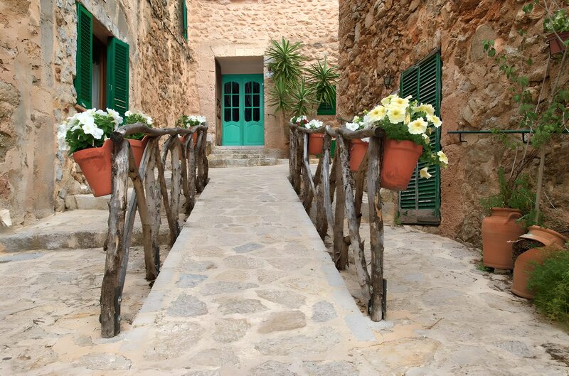 Charming Pathway with Flower Pots