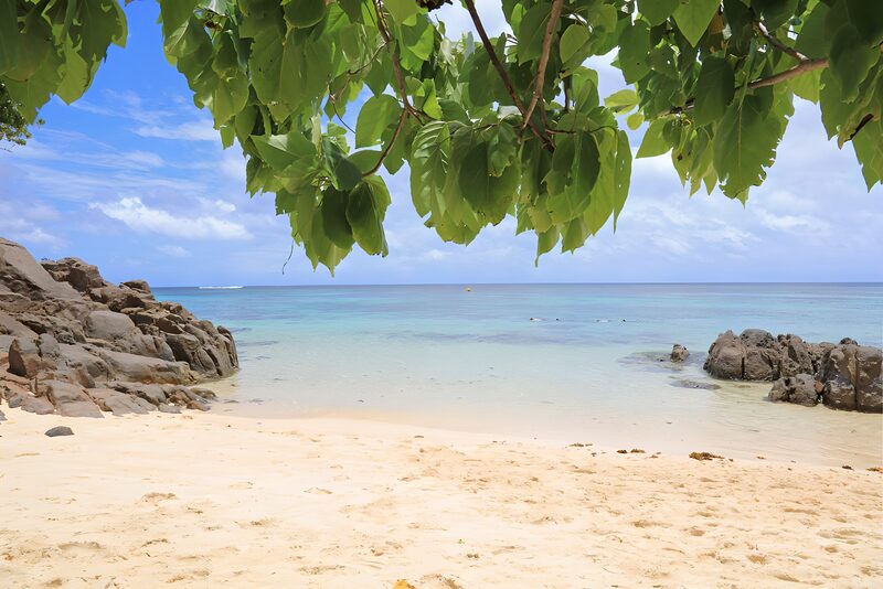Serene Tropical Beach Escape