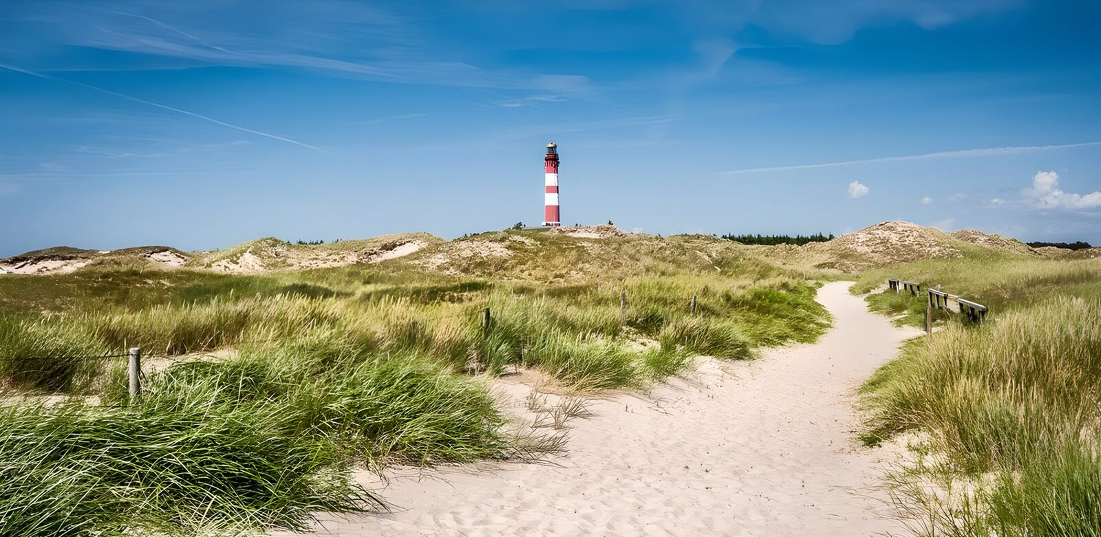 Coastal Path to the Lighthouse