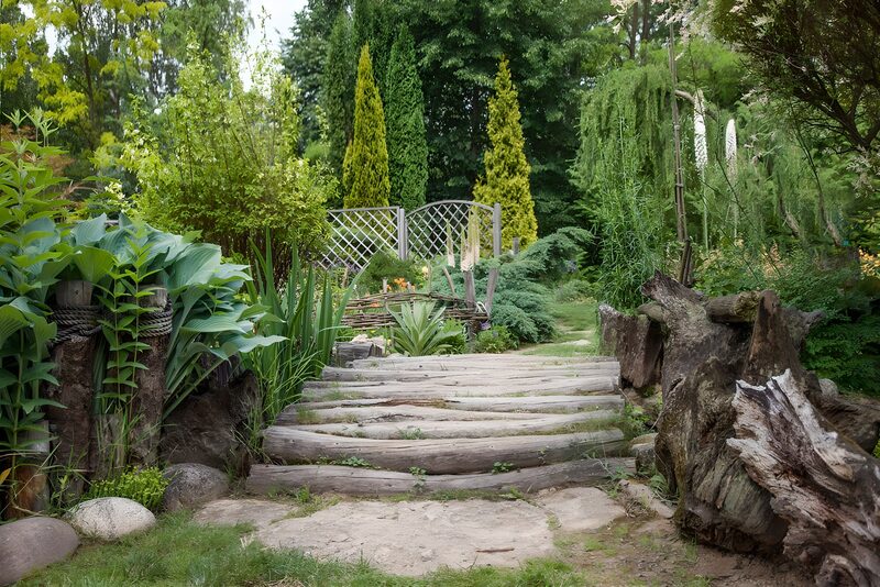 Serene Garden Path
