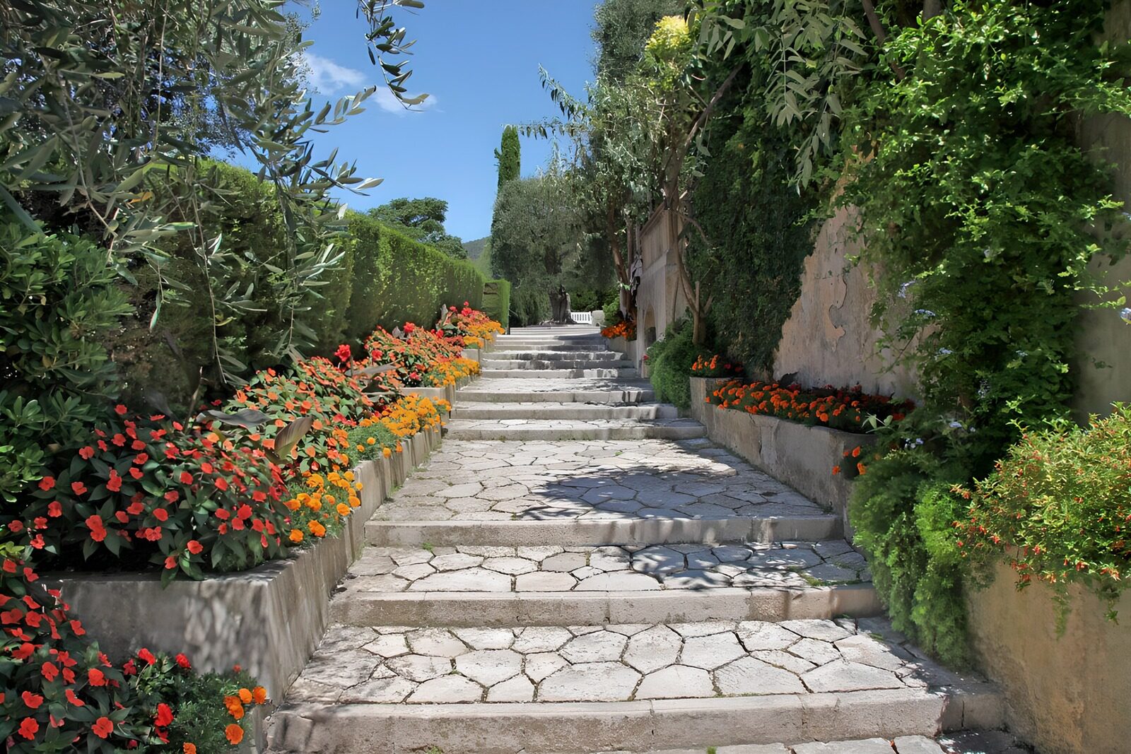Vibrant Garden Pathway
