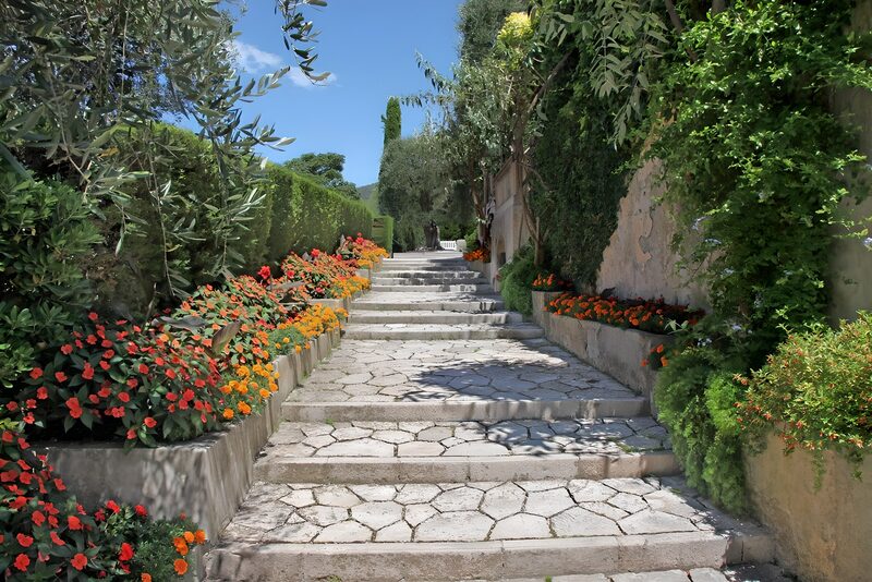Vibrant Garden Pathway