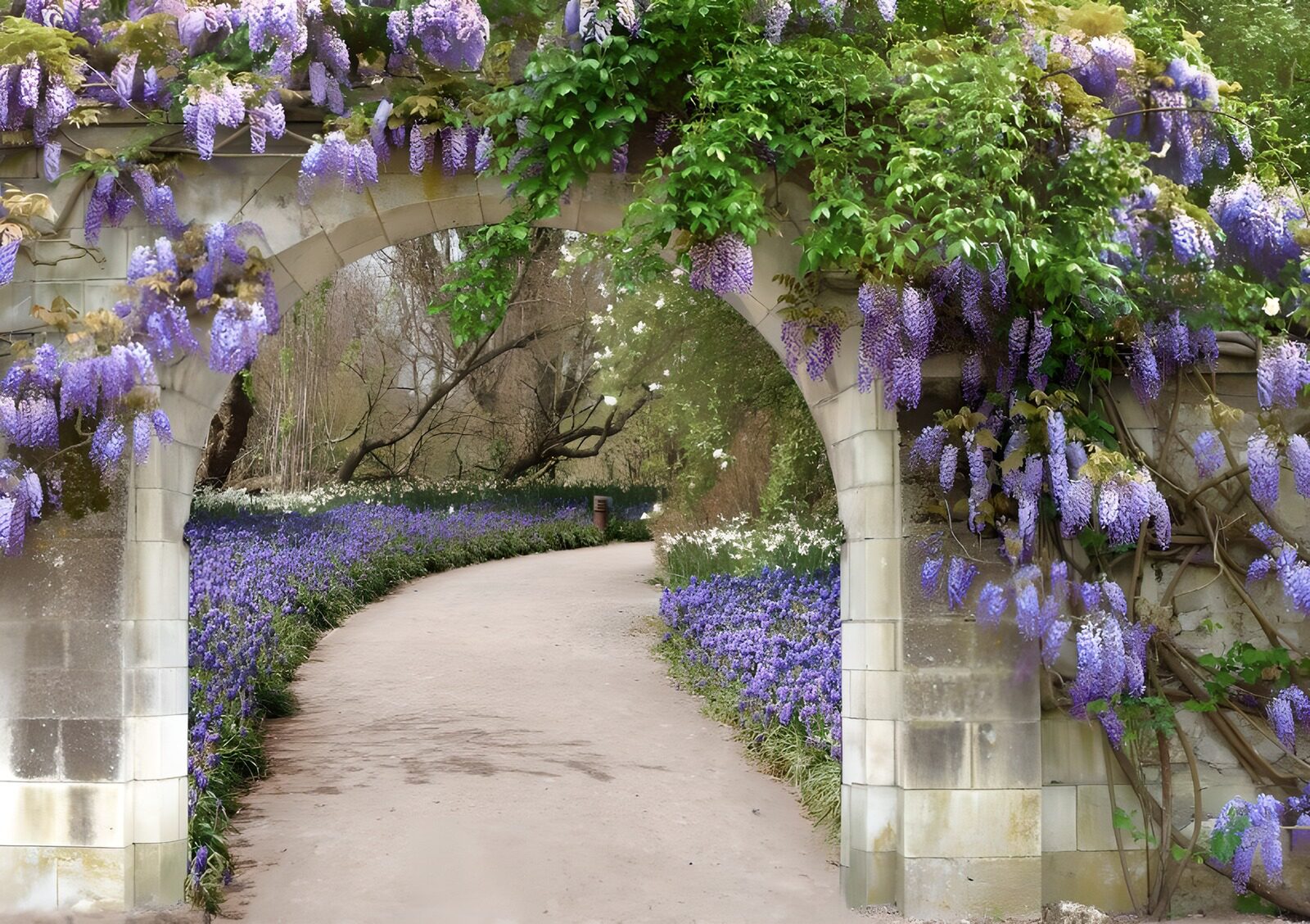 Wisteria Welcome: A Scenic Pathway