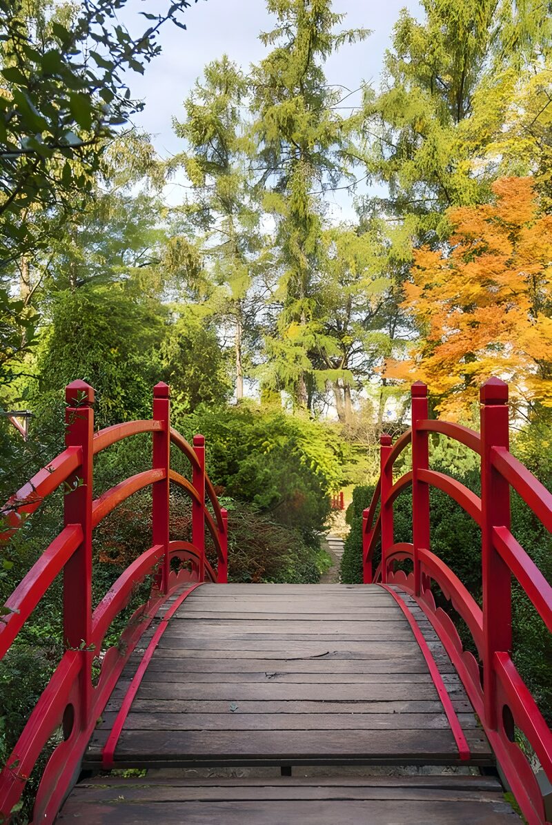 Serene Red Bridge in a Lush Garden