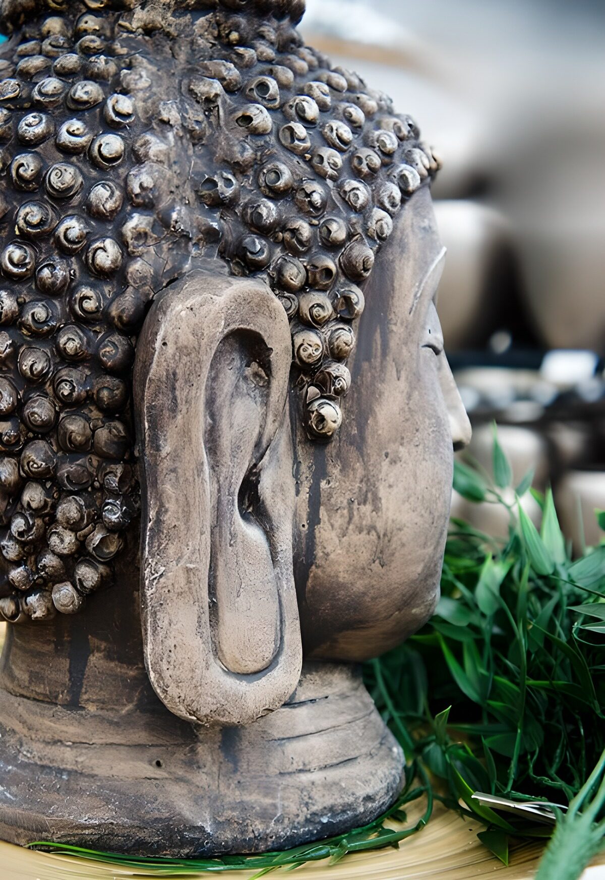 Serene Buddha Profile