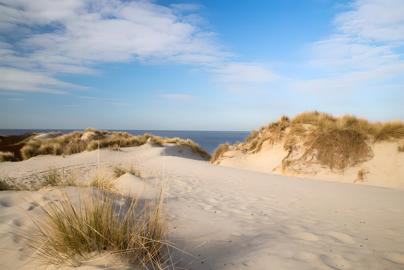 Serene Coastal Dunes Under Blue Skies