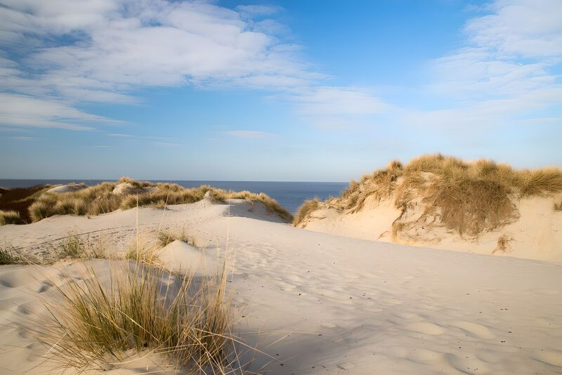 Serene Coastal Dunes Under Blue Skies