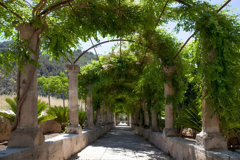 Tranquil Garden Pathway