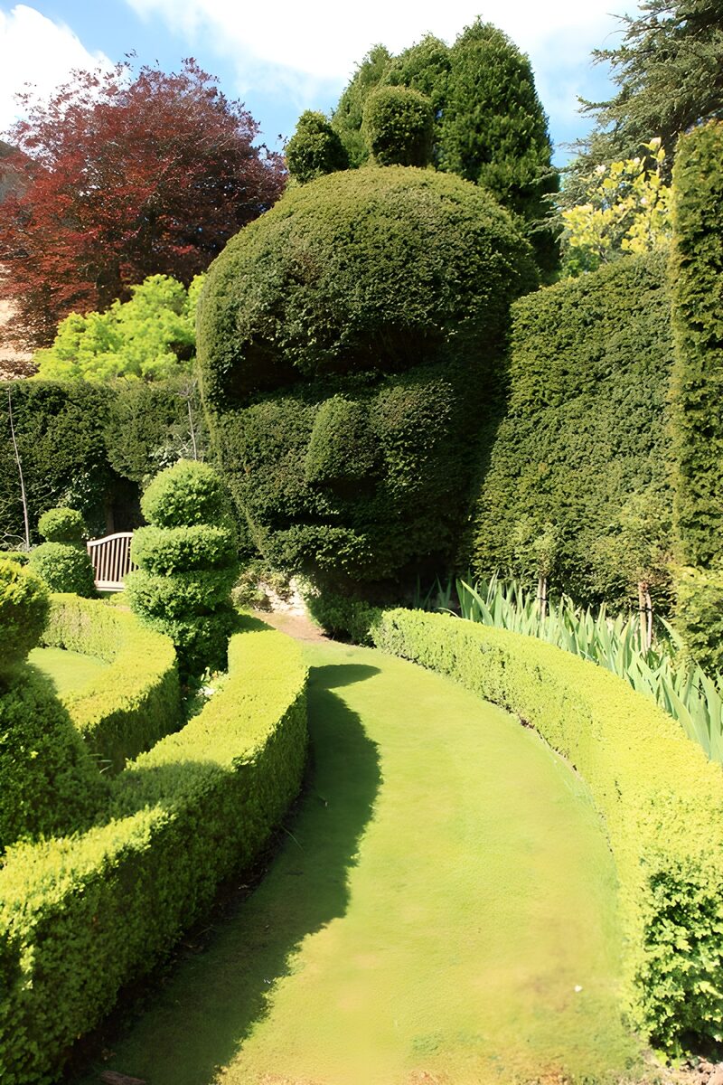 Whimsical Topiary Garden Feature