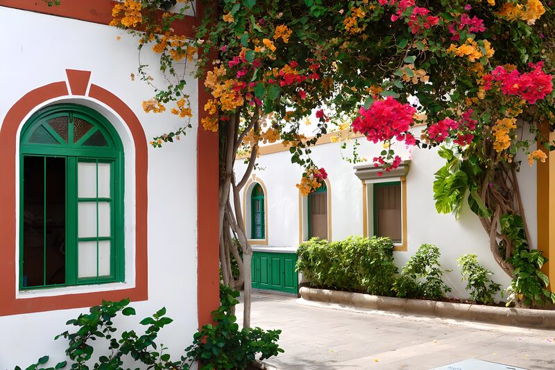 Colorful Courtyard Oasis
