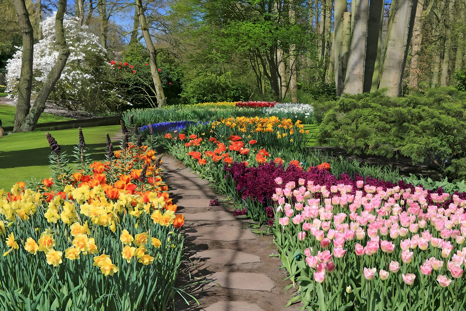 Vibrant Garden Pathway in Spring