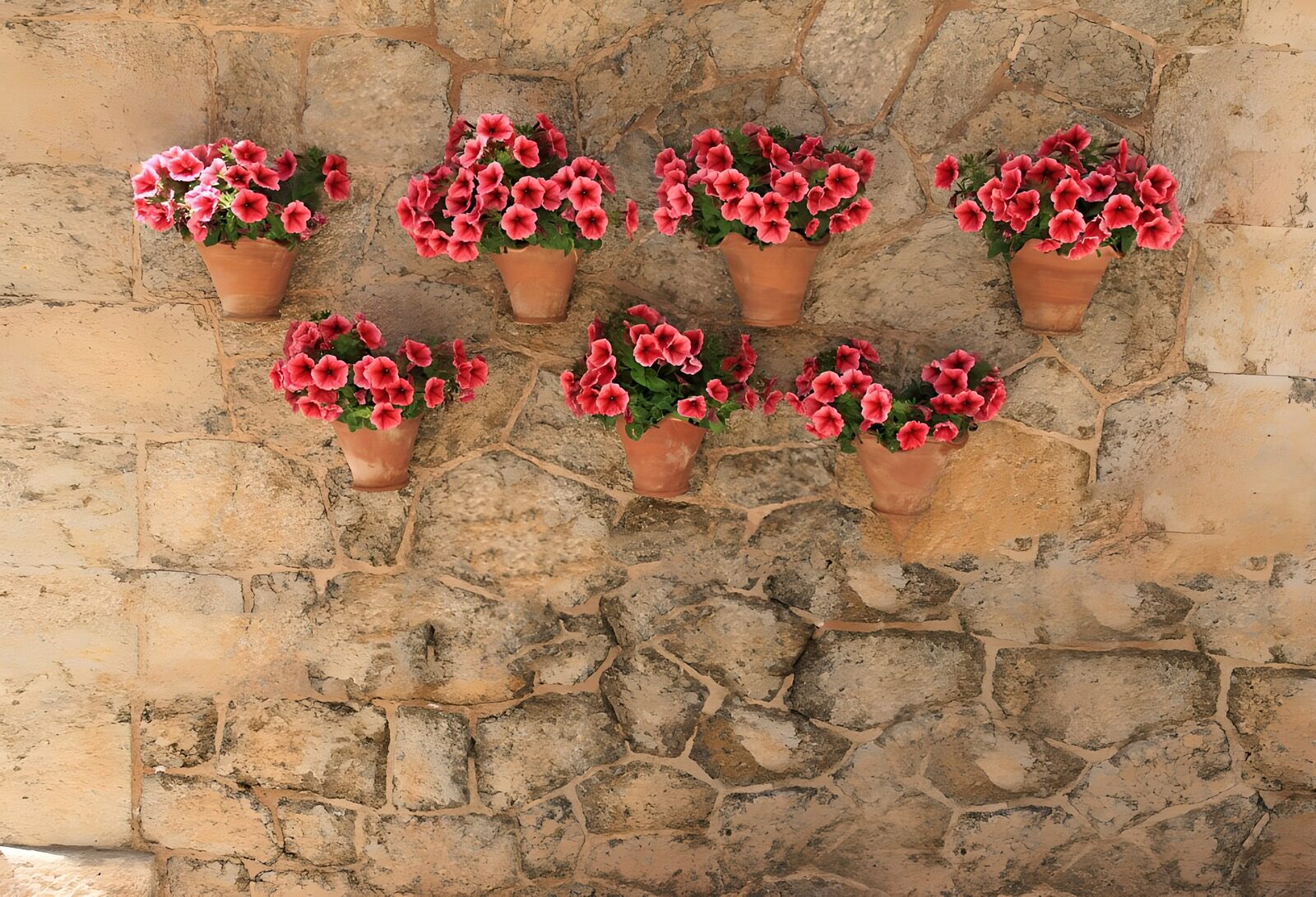 Colorful Potted Flowers on a Stone Wall