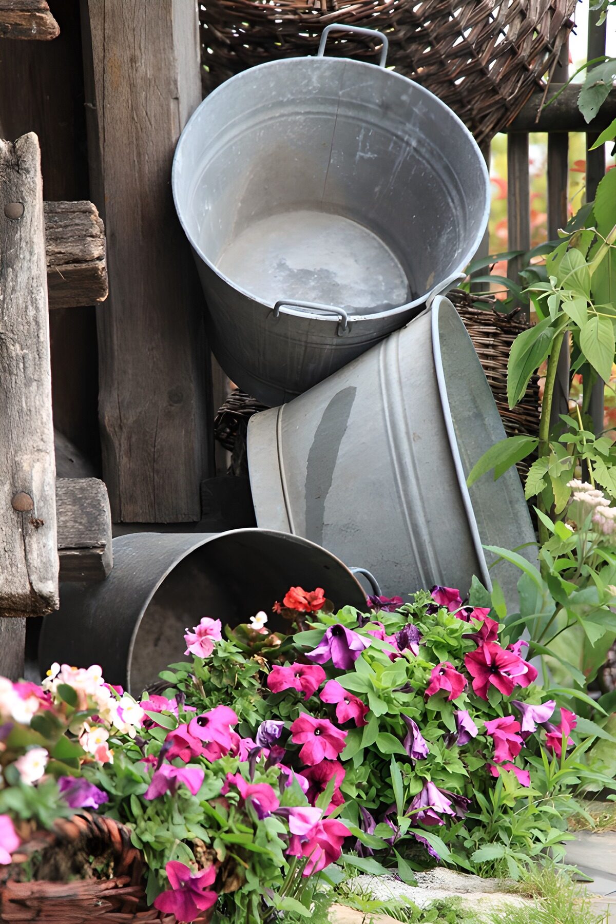 Rustic Buckets with Colorful Blooms