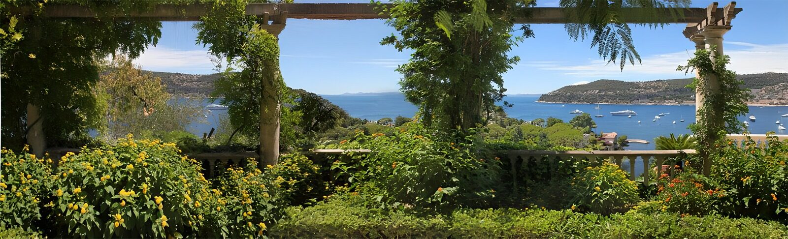 Serene Coastal Garden View