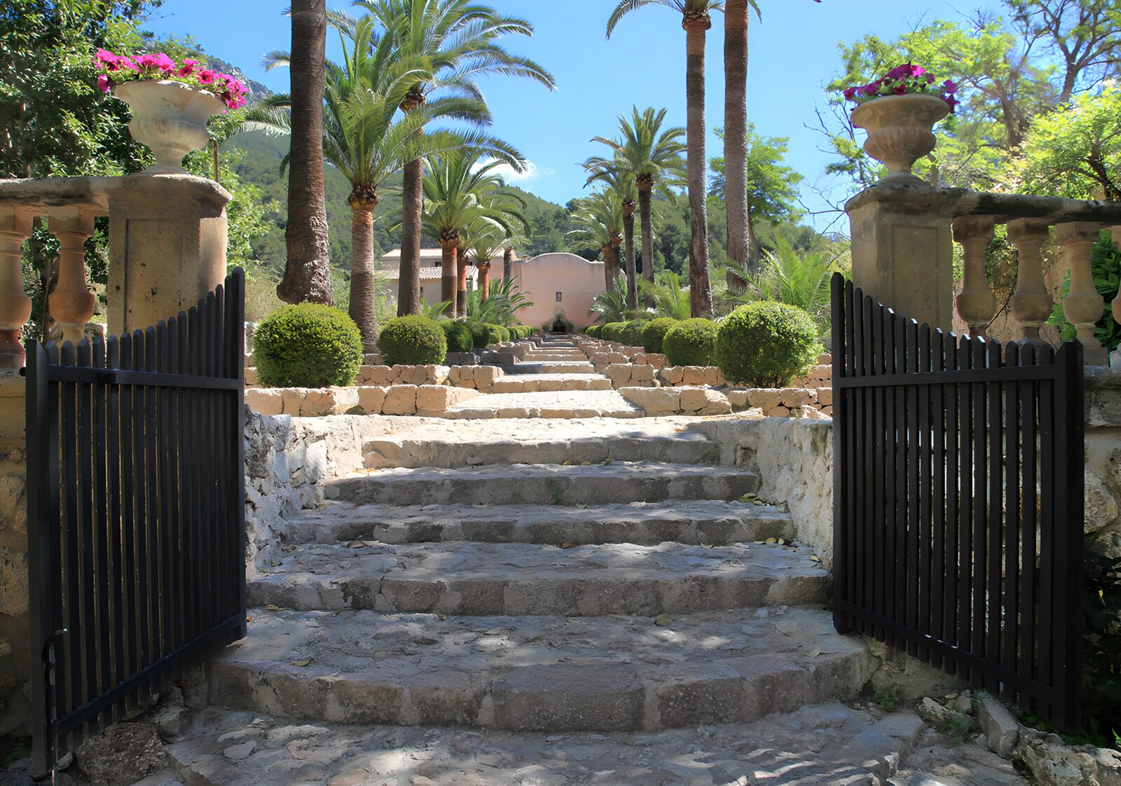 Serene Garden Pathway