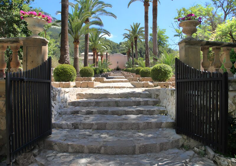 Serene Garden Pathway