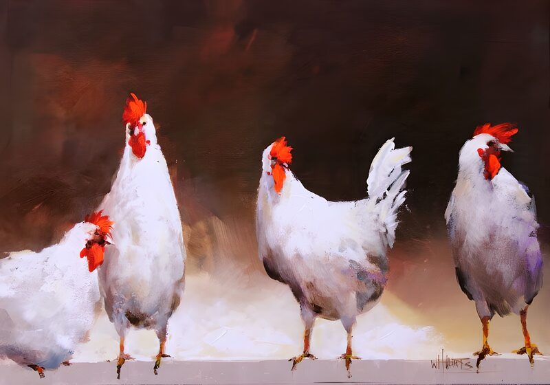 Playful Hen Portraits