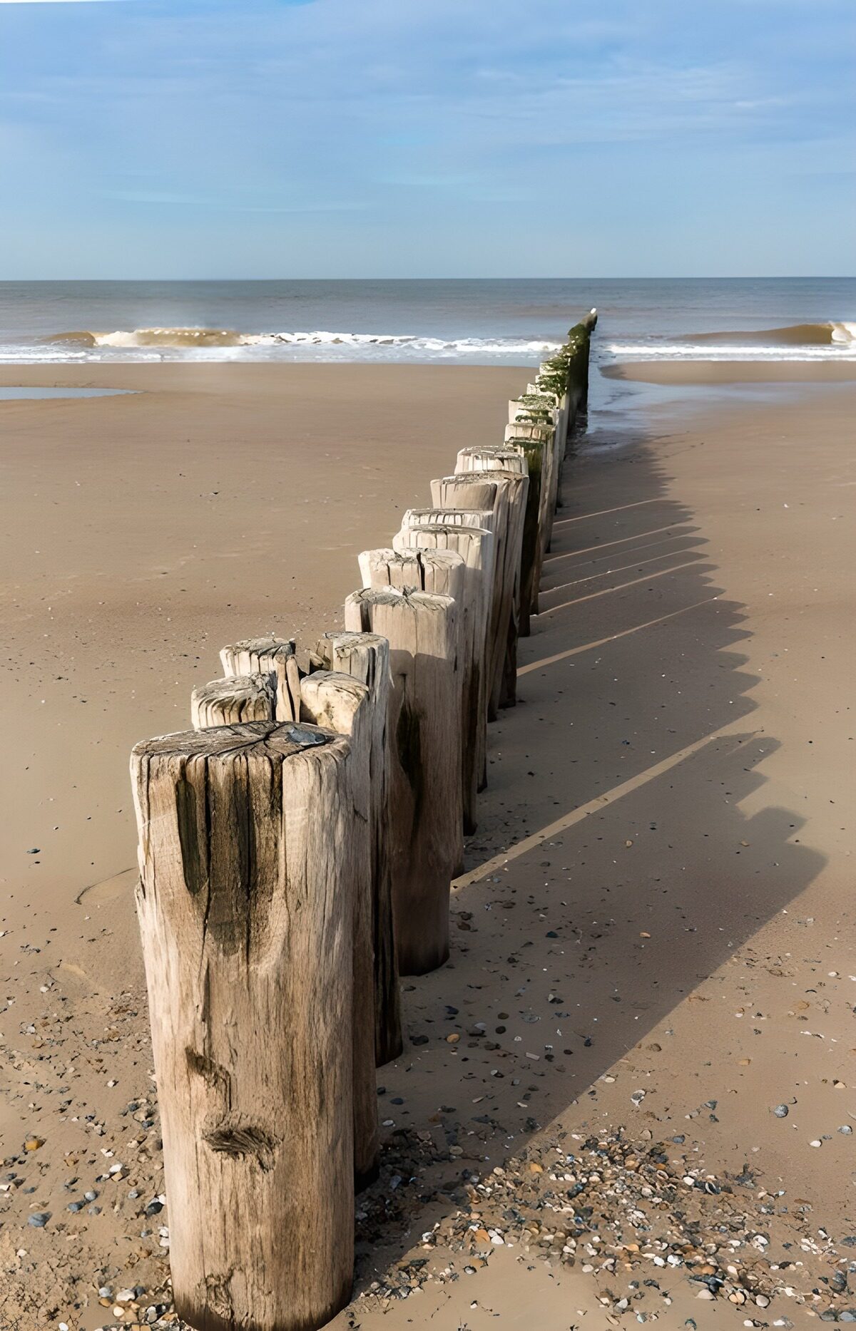 Tranquil Beach Poles by the Shore