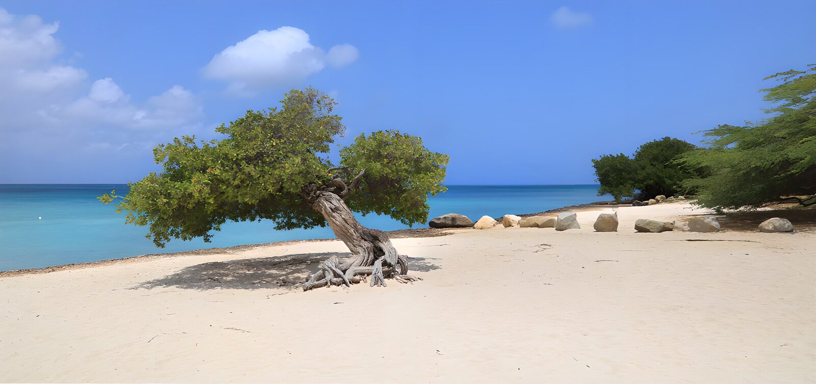 Serene Coastal Landscape