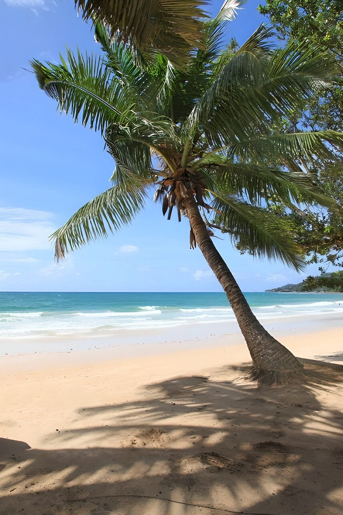 Tranquil Beach with Leaning Palm Tree