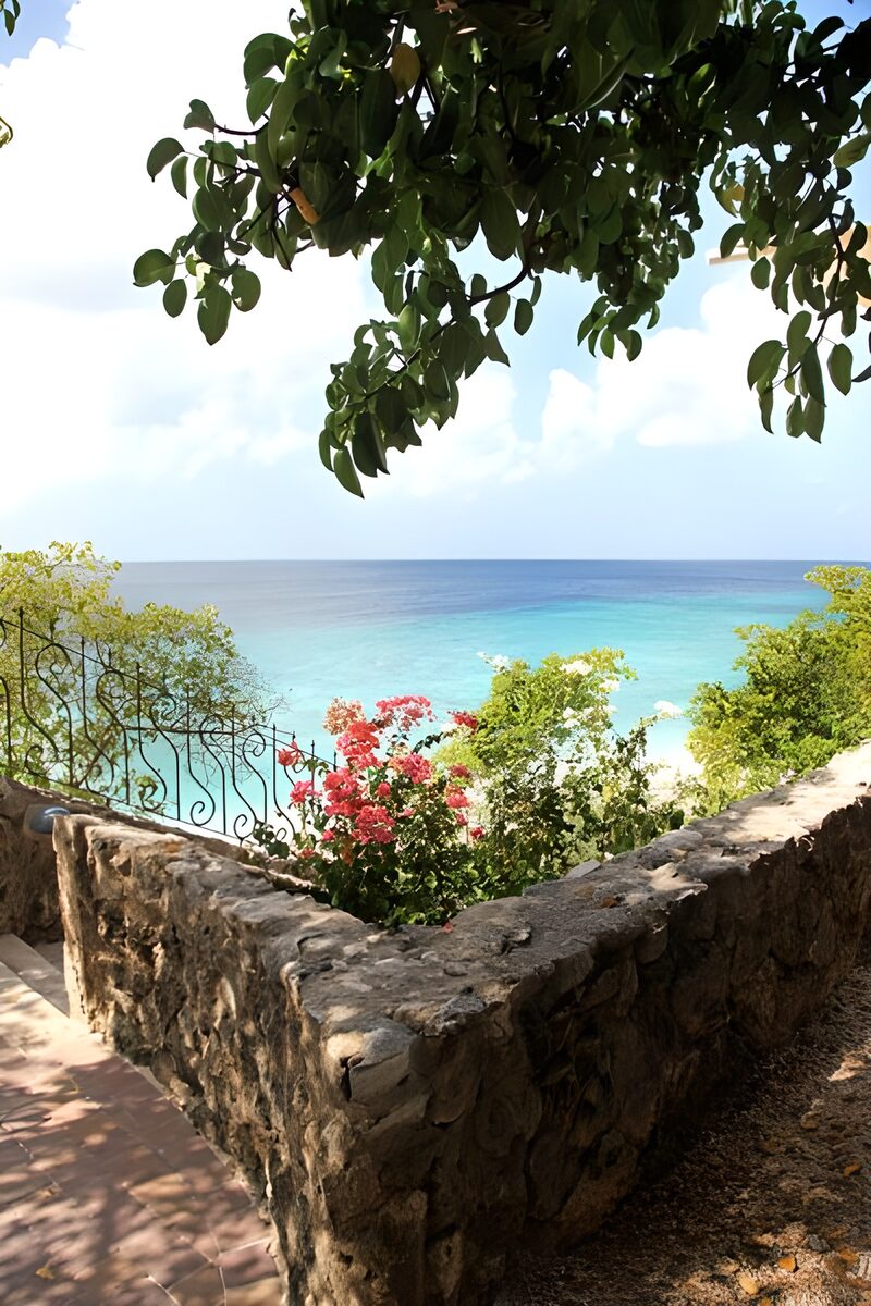 Coastal Serenity with Vibrant Flora