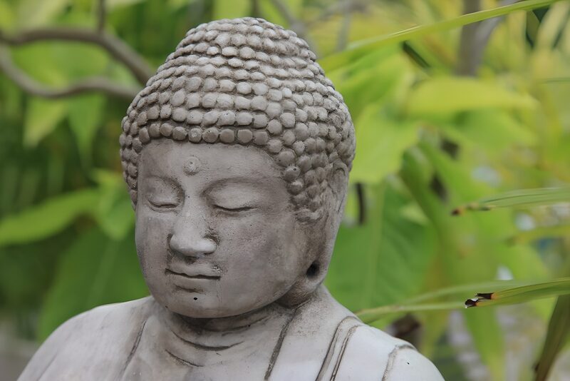 Serene Buddha Bust Amidst Greenery