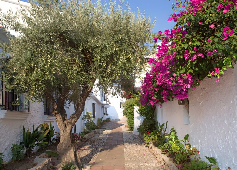 Charming Mediterranean Pathway