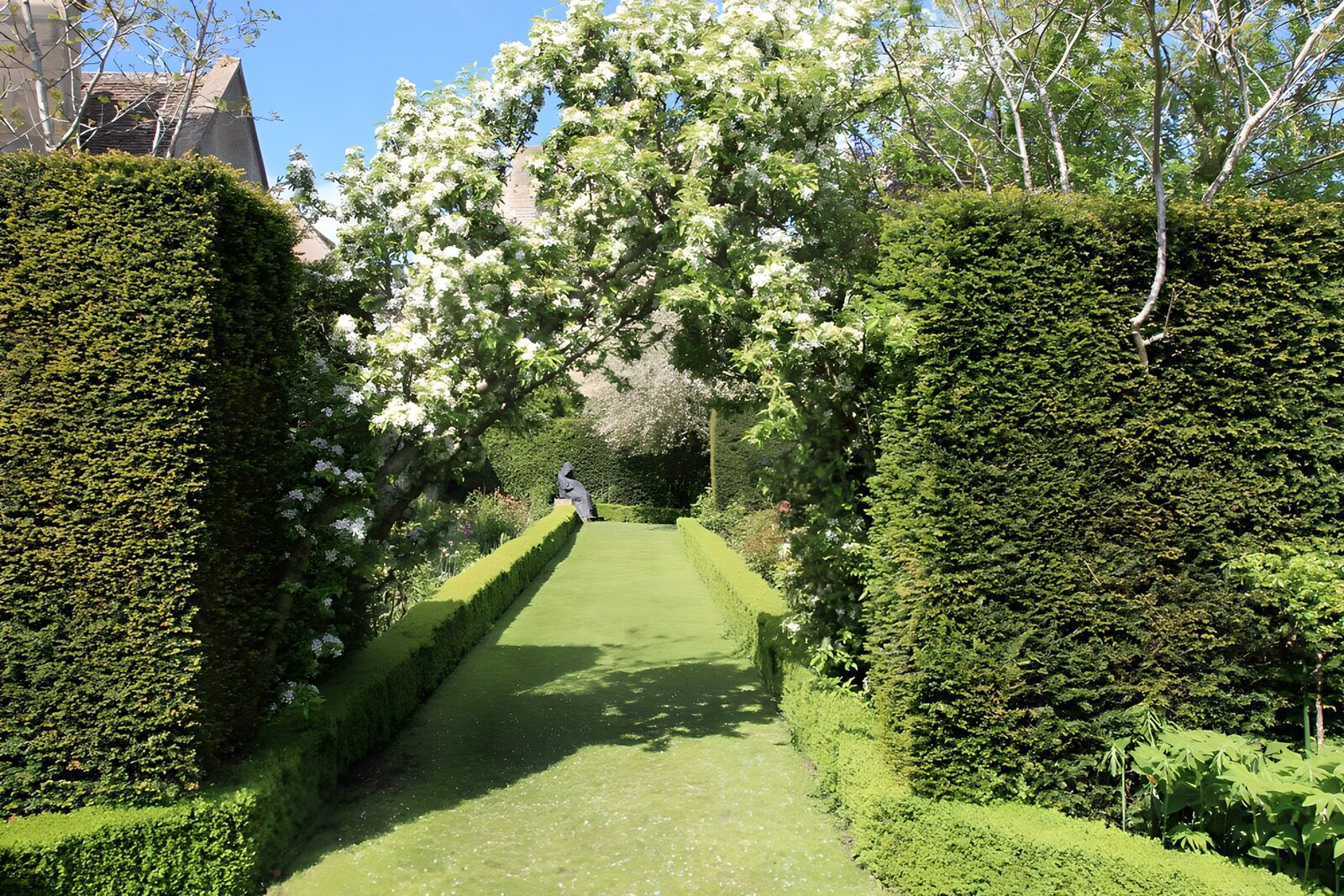 Tranquil Garden Pathway