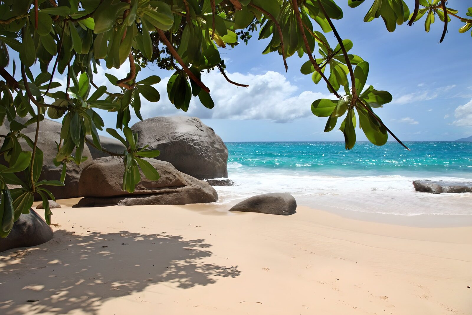Tropical Beach Paradise