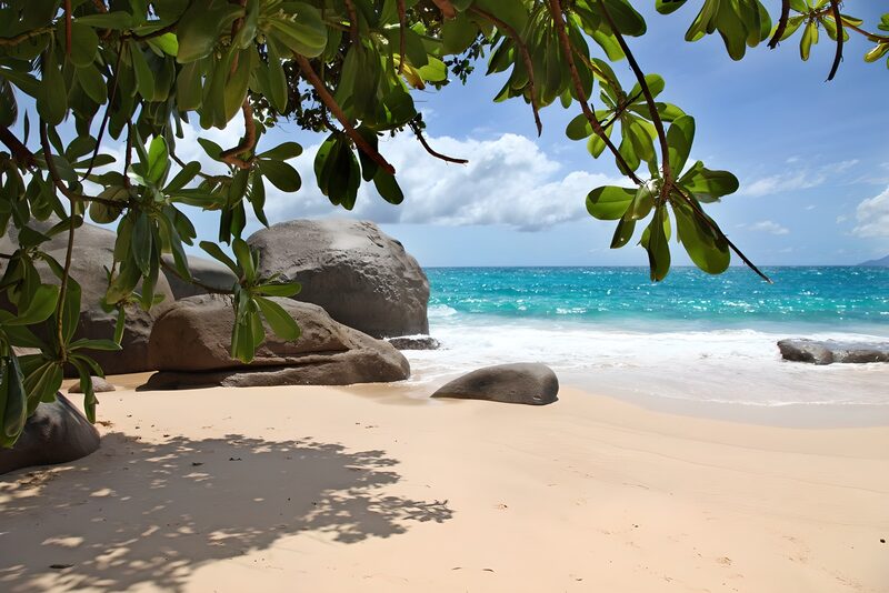 Tropical Beach Paradise