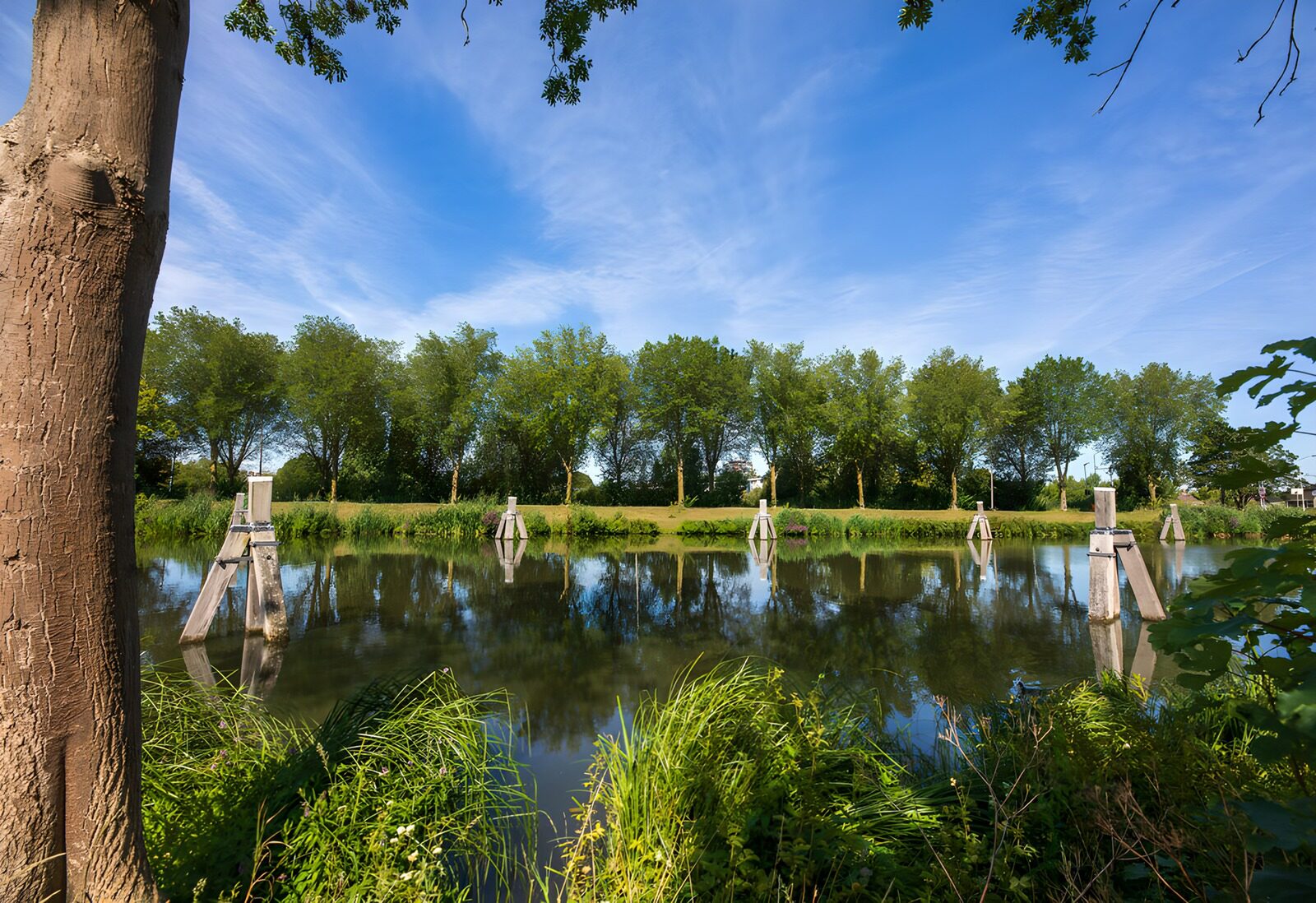 Tranquil Waterscape with Wooden Supports