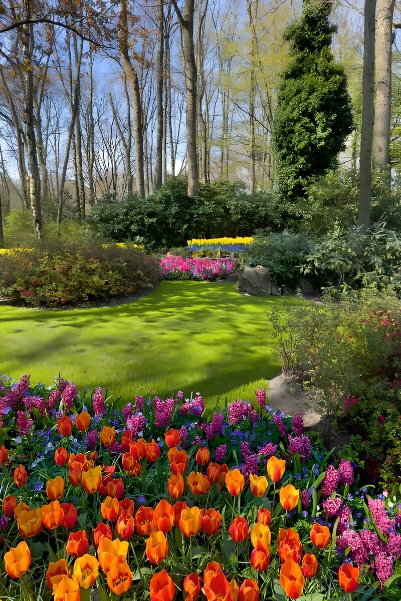 Vibrant Spring Garden Bloom