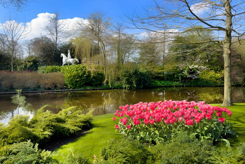 Serene Garden with Tulips and Statues