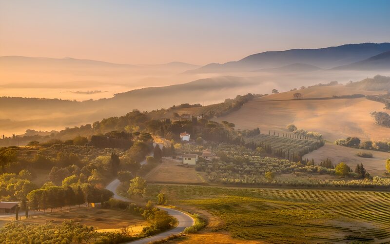 Serene Morning in the Rolling Hills