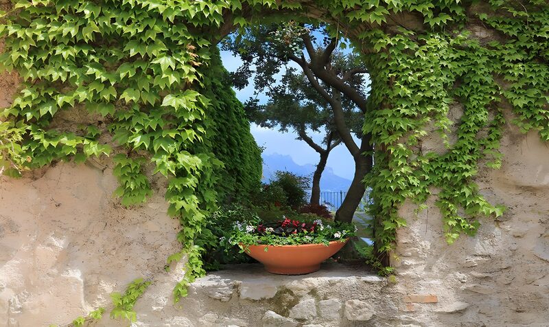 Serene Garden View Through Ivy Arch