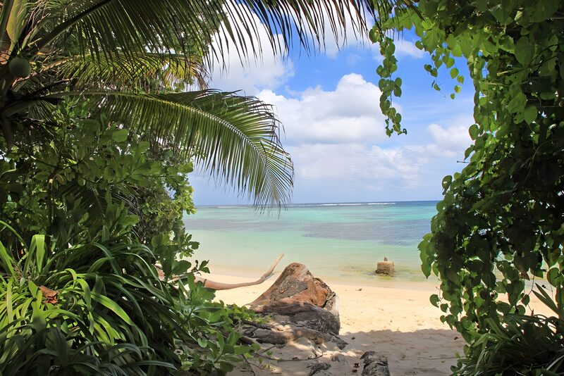Tropical Beach Escape