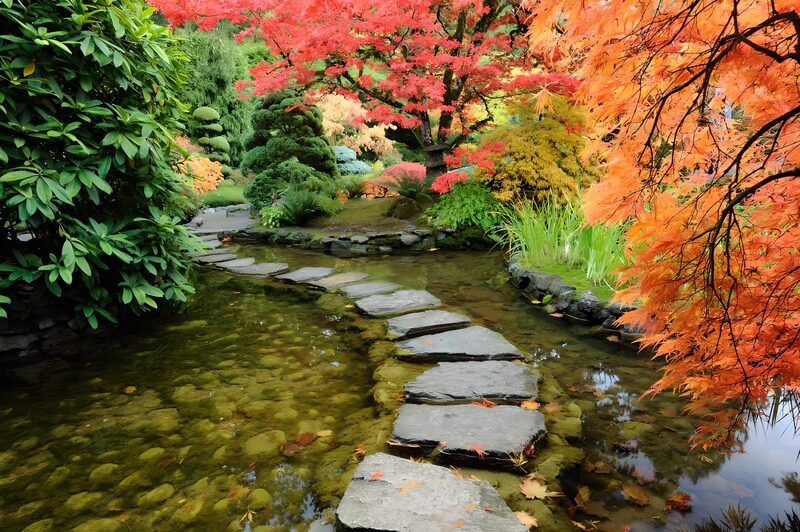 Serene Autumn Garden Path