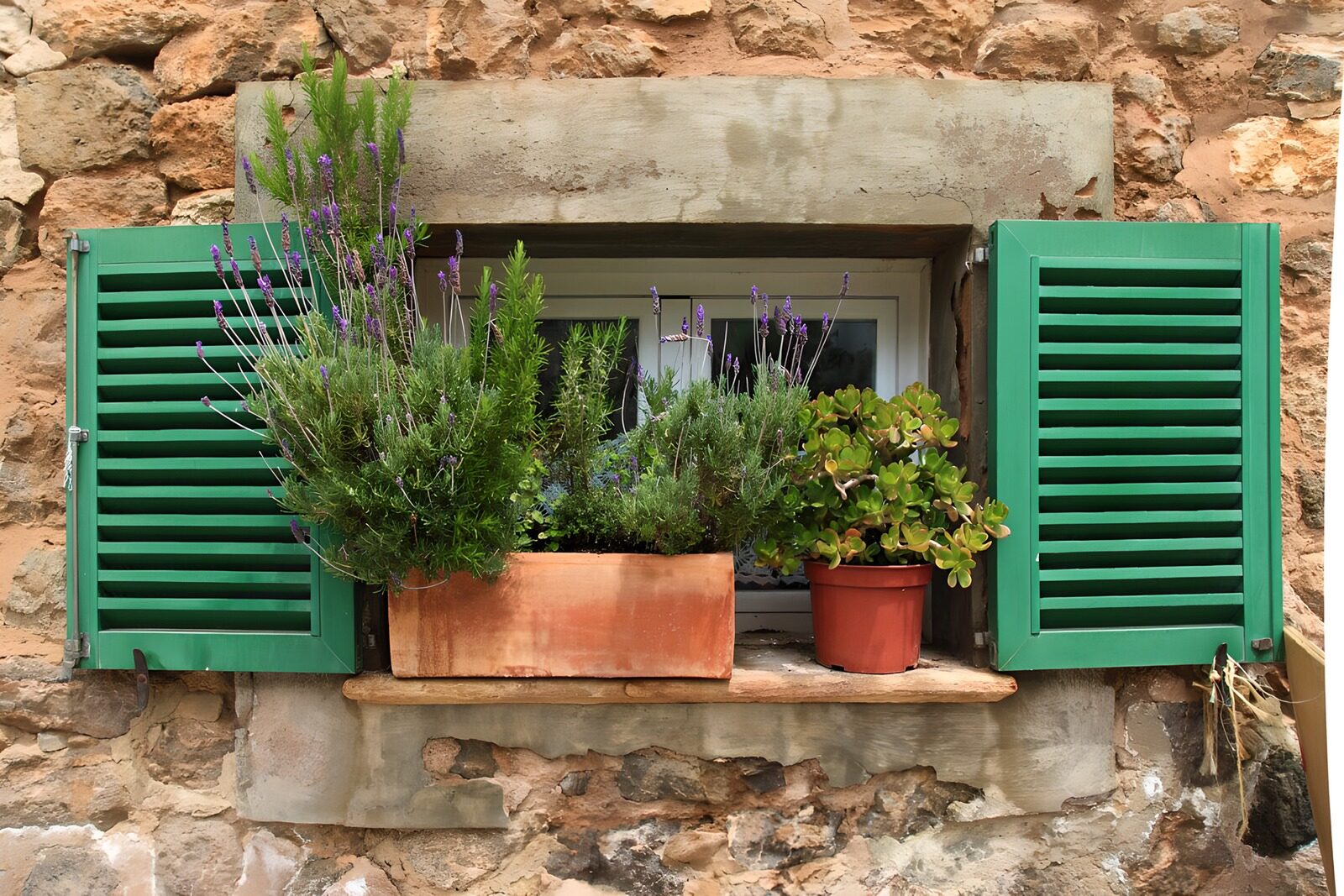Charming Green Shutters with Lush Plants