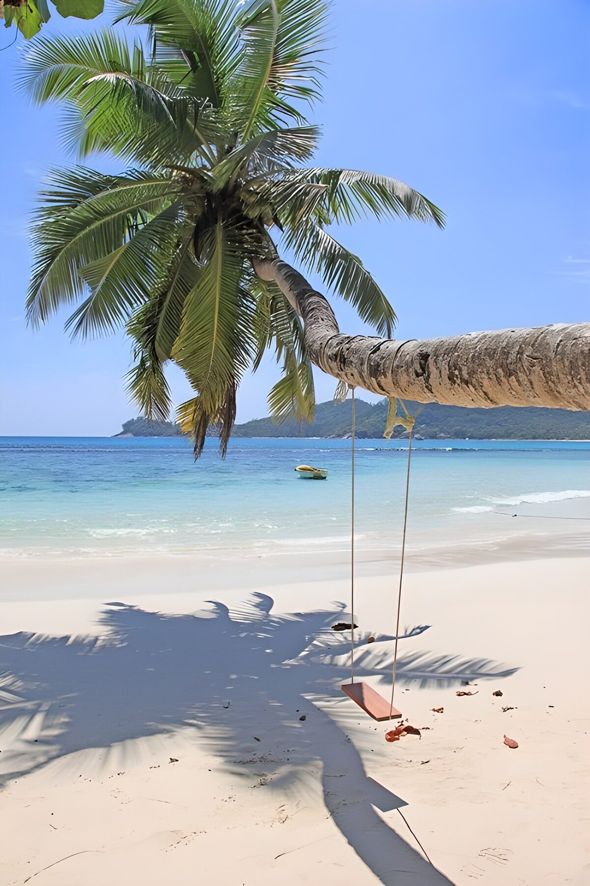 Tropical Paradise with Palm Swing