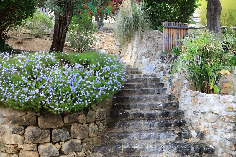 Serene Garden Pathway