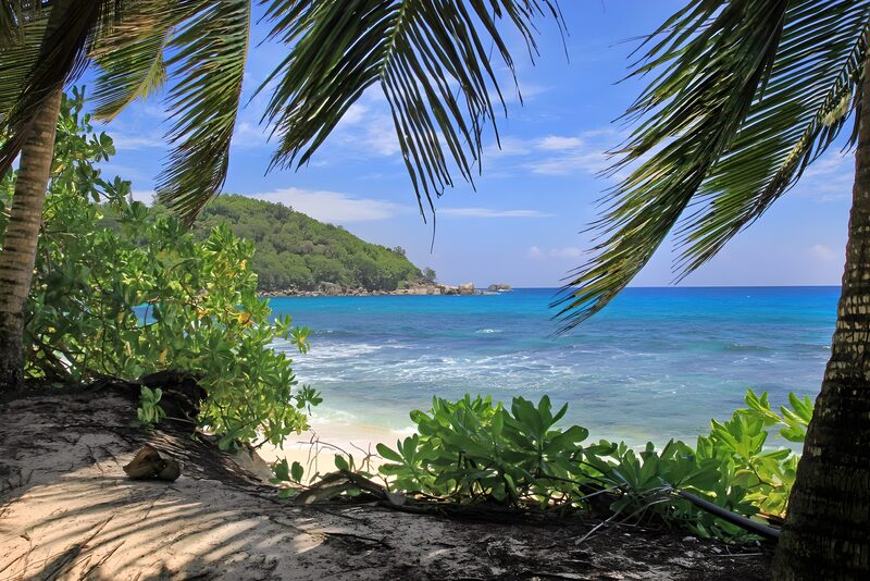 Serene Tropical Beach View