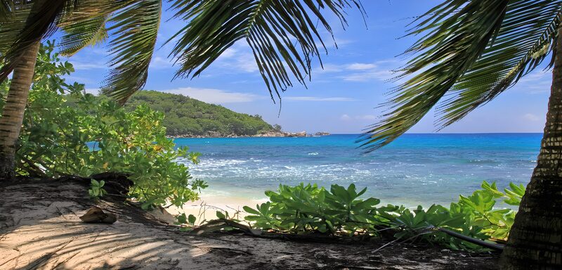 Tropical Paradise View