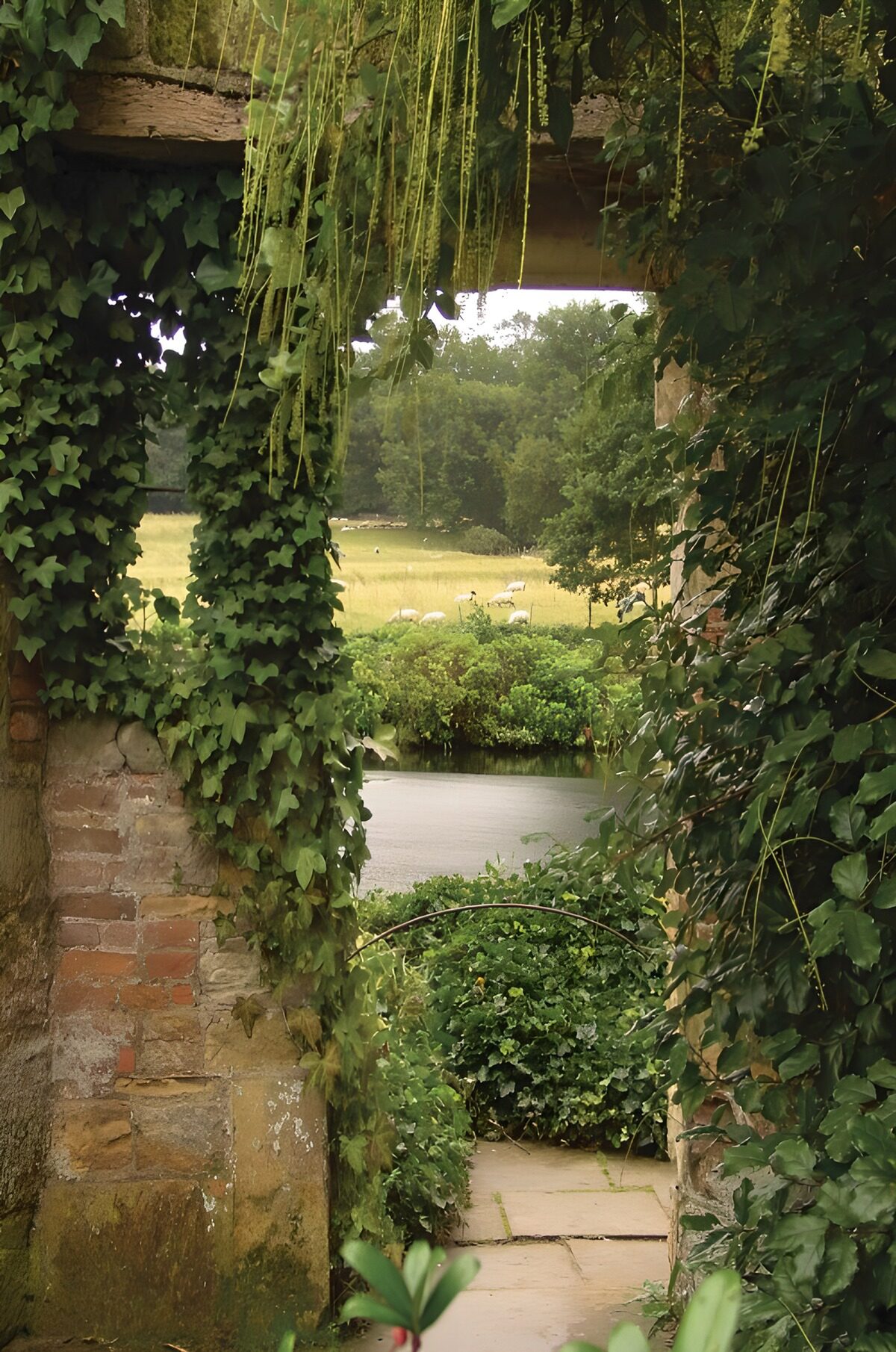 Tranquil View Through Ivy-Covered Arch