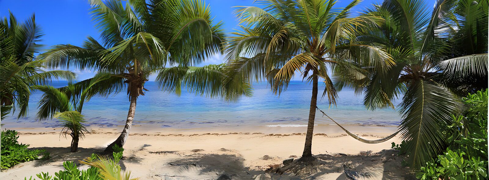 Tropical Paradise by the Shore