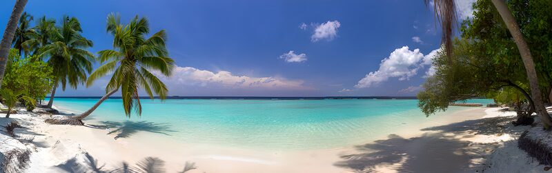 Tropical Paradise with Crystal Clear Waters